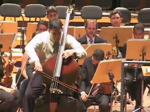 Dragonetti - Concerto em L Maior (3. Movimento)