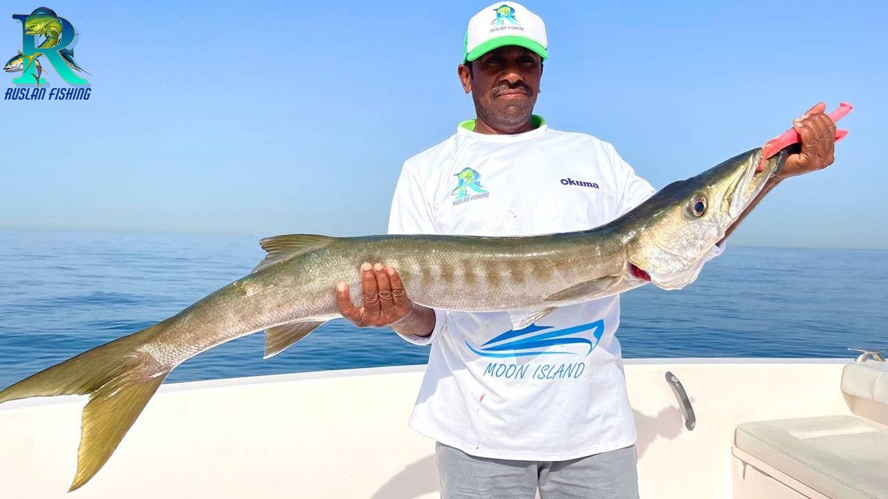Fishing in Dubai . Casting and  Barracuda by life baits