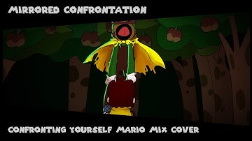 Mirrored Confrontation (Confronting Yourself Mario Mix Cover)