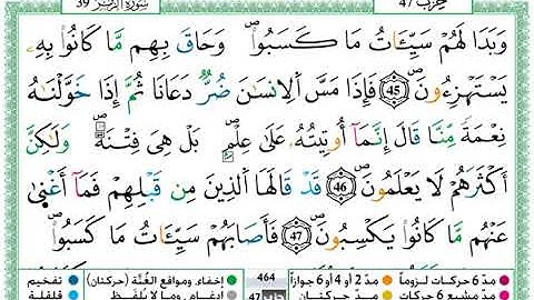 سورة الزمر مكتوبة / حمزة الجزائري