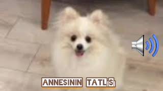 Annesinin Tatlısı / Hanimiş Benim Tatlışım - Sound Effects 📢 / Hanimiş Benim Tontişim