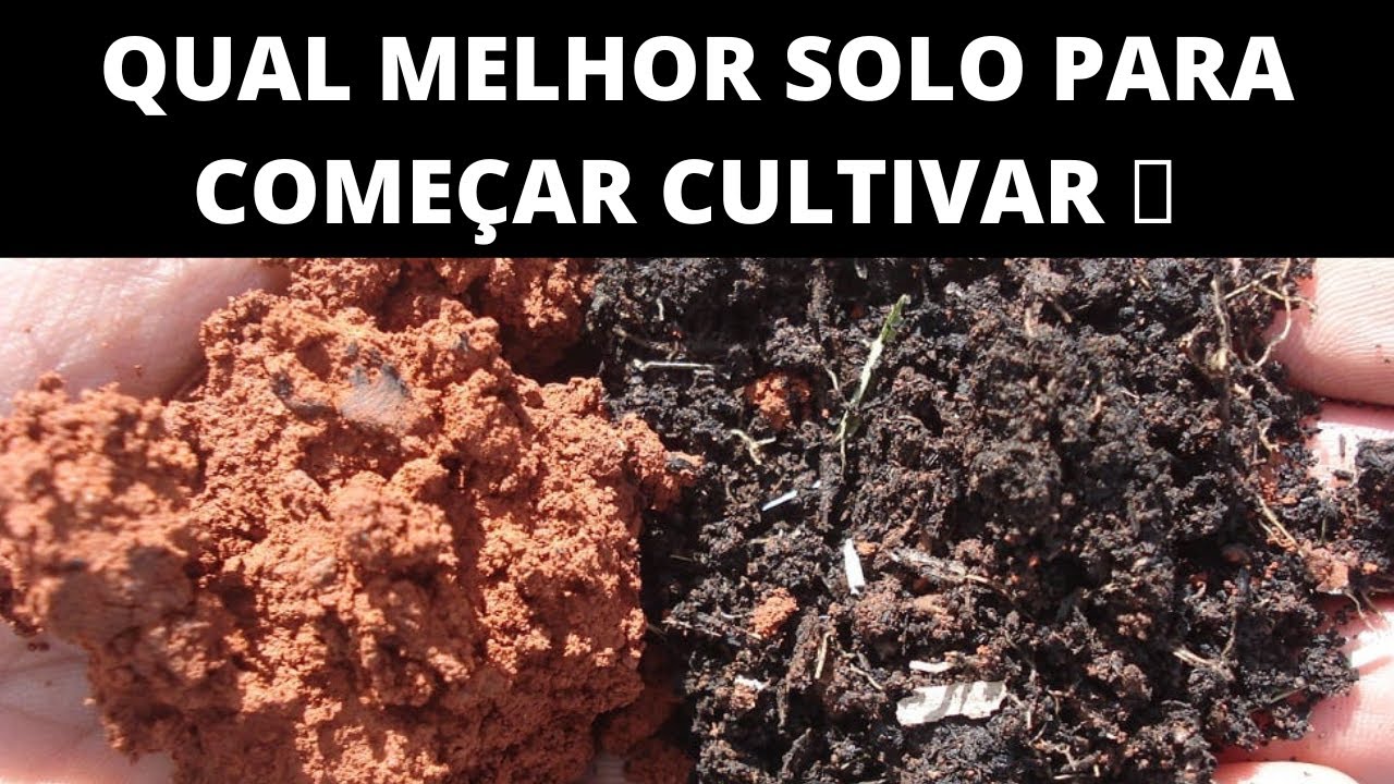 DICAS PARA COMEÇAR PLANTAR M4CONHA C4NNABIS - QUAL MELHOR SOLO PARA INICIAR? 🍁