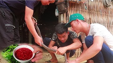 CHOÁNG ! TIẾT CANH RẮN • Tuyệt Chiêu Thịt Rắn Khổng Lồ