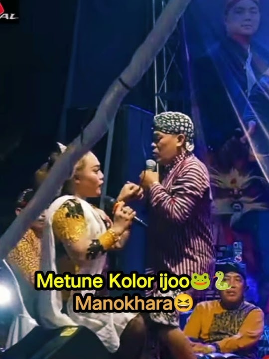 Wujute kolor ijo Manohara