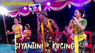 Full Album Tayub Giyantini ft Kucing  - Marsudi Laras - DewiTri Audio - Dwi Production