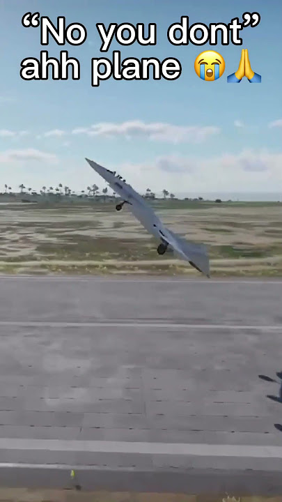 “Nuh uh” ahh plane 😭🙏 #warthunder #warthundermemes #shorts
