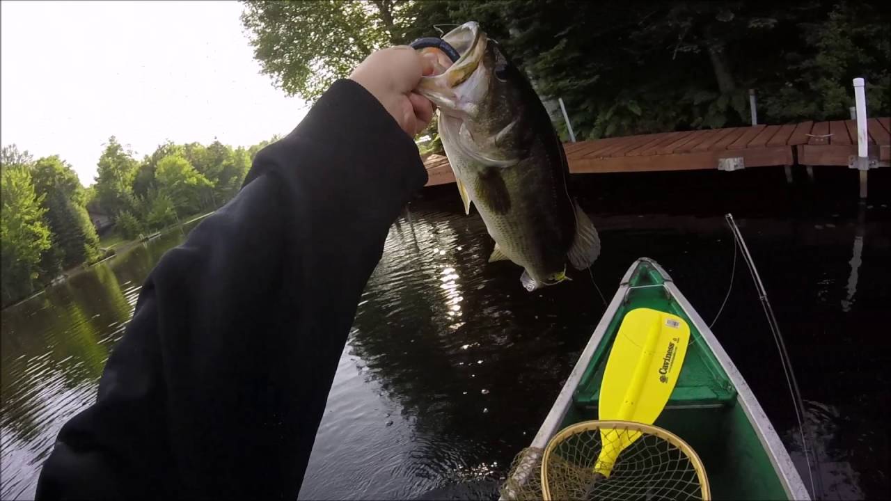Topwater Blowups Early In The Morning! Bass Fishing YouTube