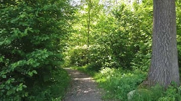 How do you write scalable css?