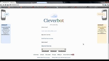 What is Love! (Cleverbot)