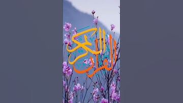 سورة الدخان: القارئ هزاع البلوشي