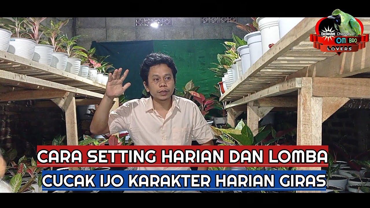 Strategi Setting Harian Jelang Lomba untuk Persiapan Optimal Strategi Setting Harian Jelang Lomba untuk Persiapan Optimal