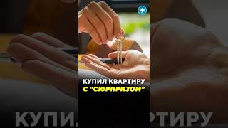Купил квартиру с "сюрпризом" / Новости #квартира #жилье #суд #сюрприз #недвижимость #соседка #семья