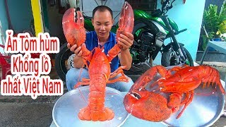 Ăn Tôm hùm Canada Khổng lồ nhất Việt Nam | biggest lobster eating