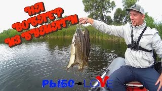 Видео Куча щуки на воблер из бумаги. SHIT CHALLENGE (автор: РЫБО Love)