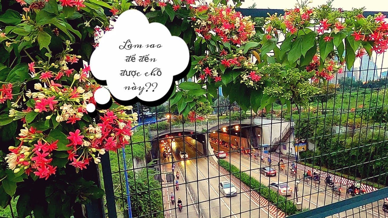 nóc hầm thủ thiêm về đêm 2022 New Sửng sốt với cảnh SÀI GÒN được nhìn từ NÓC HẦM THỦ THIÊM, đường tới đây dễ lạc lắm 🤣/#300