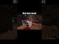 Minecraft Meme