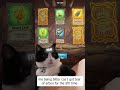 so unlucky #Callofdragonskvk #callofdragonsgame @callofdragonsgame #cod #memes #fyp #callofdragons