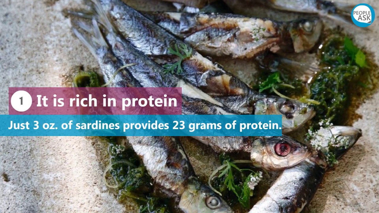 Health benefits of Sardines YouTube