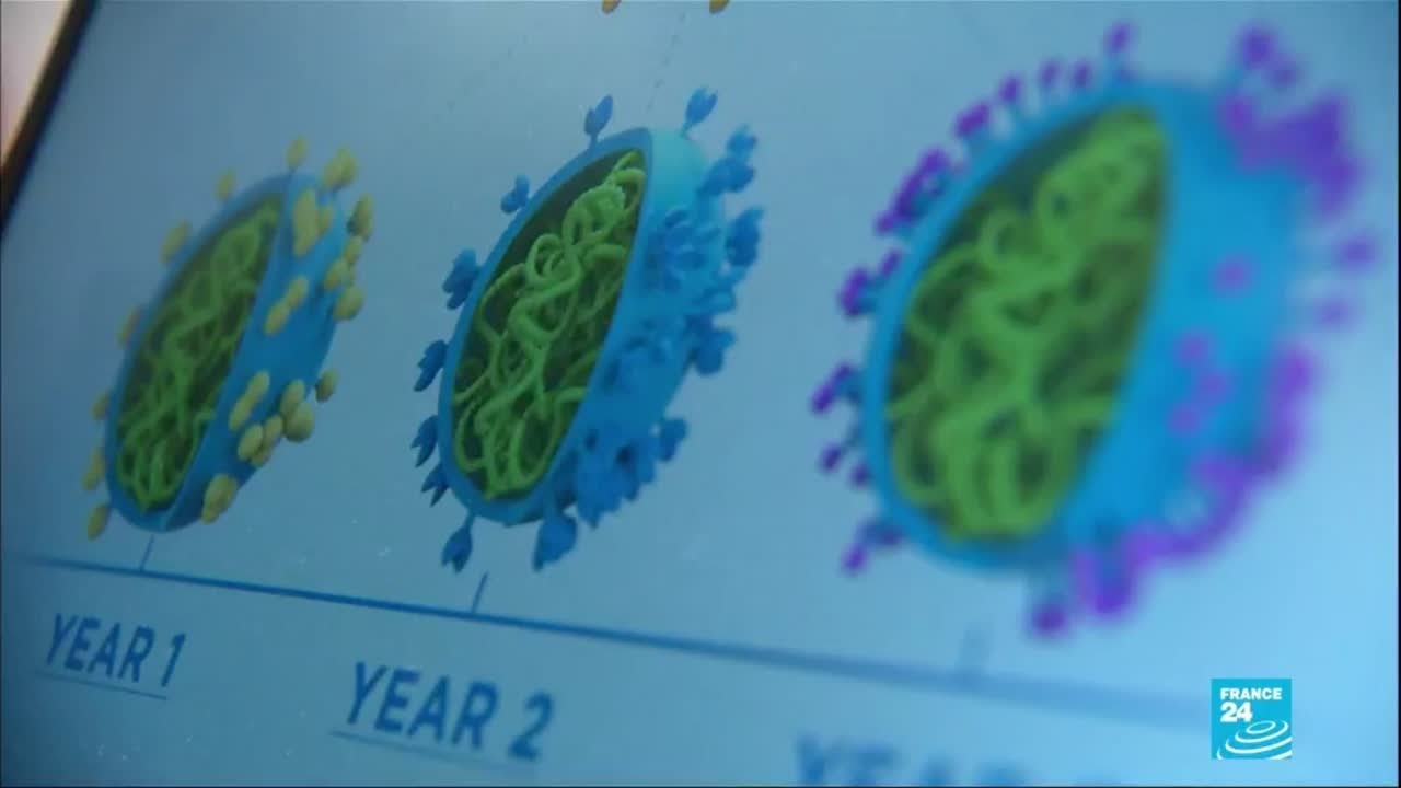 Científicos trabajan en la búsqueda de una vacuna universal contra el Covid-19