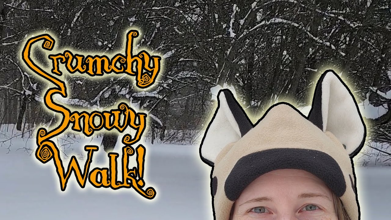 Take a Crunchy Snow Walk With Me! asmr