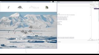 ICS 111 Project 1 Higa Brenden