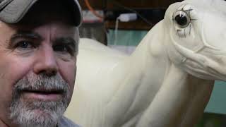 Taxidermy Tech - Eye Shape