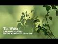 Tin Waltz / ZABADAK (cover)