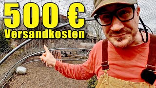 Thumbnail for Gewächshaus-Albtraum! 500€ Versandkosten und das alles nur für die Hühner 🤯