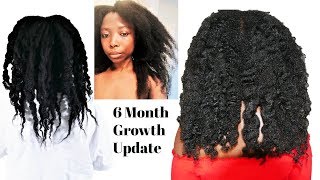 My 6 Month Setback UPDATE | How I Have Been Growing My Hair Fast | Natural Hair