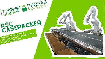 RSC Casepacker with Robotic Palletising Cell