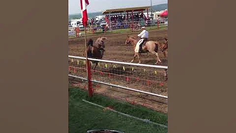Colton Crook Vs Shaky Ground - Halfway River Valle...