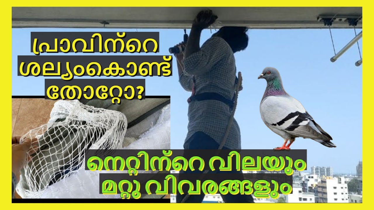 Pigeon safety net installation |price and other details