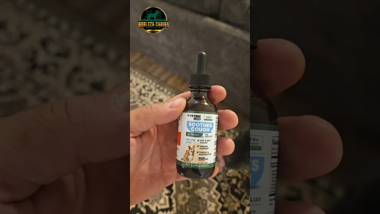 🩺 Home Remedies for Kennel Cough | Loki’s Recovery Journey