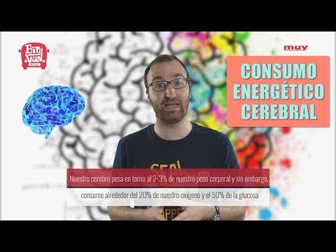 How much energy does the human brain consume? | Neurothings 12