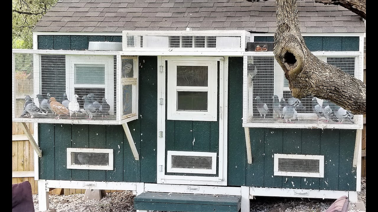 تفاصيل لوفت 4مx2xم3/ الحلقة الخامسة pigeons loft design