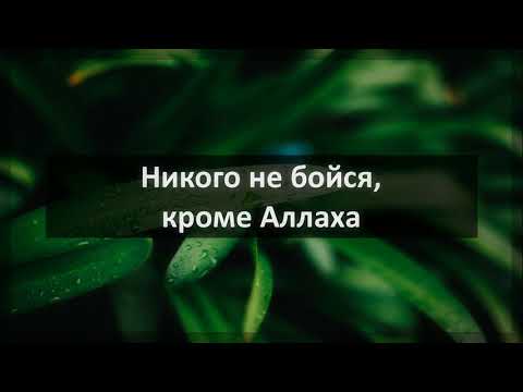 Никогда никого не бойся. Не бойтесь никого кроме Аллаха. Я никого не боюсь кроме Аллаха. Не бойся ничего и никого кроме Аллаха. Никто кроме Аллаха.