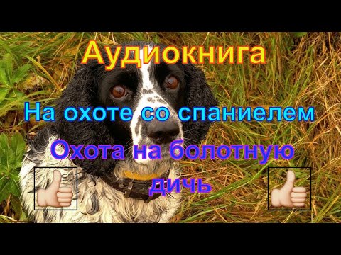"На охоте со спаниелем" Валов Н.А. "Охота со спаниелем на болотно луговую дичь"