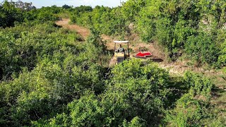 Starting New Project Amazing Cleaning Forest By KOMATSU Bulldozer