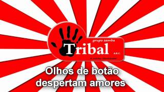 Tribal - Samba Enredo 2012
