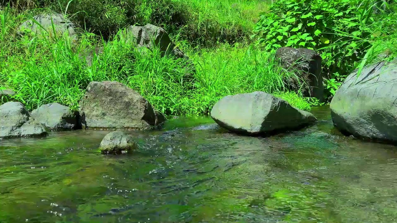 Peaceful River Sounds for Deep Sleep, Relaxation & Stress Relief (11 Hours)