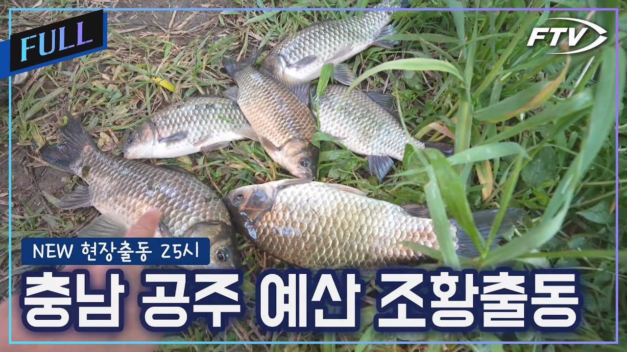 충남 공주권 예산권 조황출동 [NEW현장출동 25시/15회]