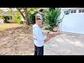 dji neo sample vid