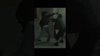 Swords and Martial Arts Fight Scene