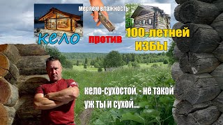 Меряем Влажность Кело, 100-летней избы, свежего и сухого срубов