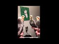 Birds singing earth wind and fire