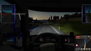 Ets 2 report - wrong way