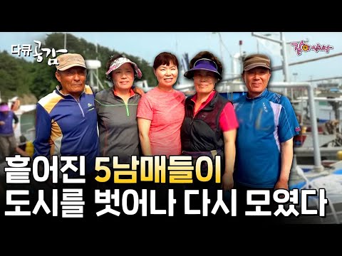 [다큐 공감] 편한 도시 생활을 접고, 다시 한 섬에 모였다! 흩어졌던 5남매들이 호도에서 다시 한솥밥 먹으며 인생 2막을 꿈꾸는 그들의 이야기ㅣ257회ㅣKBS 2018.06.30