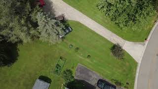 DJI 0305
