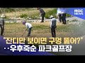 &quot;잔디만 보이면 구멍 뚫어?&quot;‥우후죽순 파크골프장 (2024.05.20 /뉴스투데이/MBC)