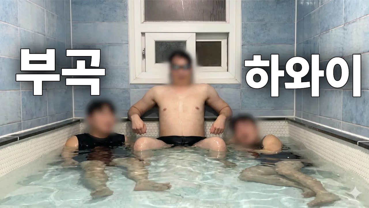 등짝을 보자